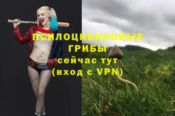 кокаин колумбия Пестово